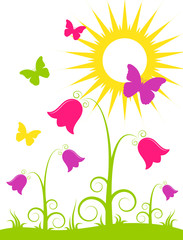 flowers, butterflies and sun