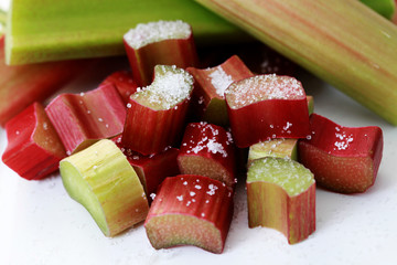 fresh rhubarb