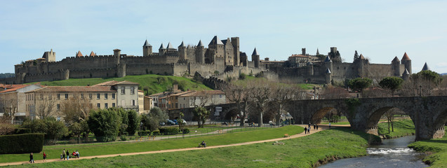 Fototapeta na wymiar Vista panoramica de Carcassonne, Francia