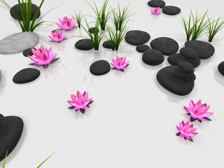 Lotusblüten zwischen Gras und Steinen © Sebastian Kaulitzki