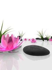 Lotusblüten - Wellness © Sebastian Kaulitzki