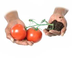 Micro Agriculture