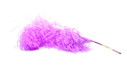 Bright pink ostrich's feather on a white background
