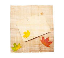background in the form of an old paper with autumn leaves