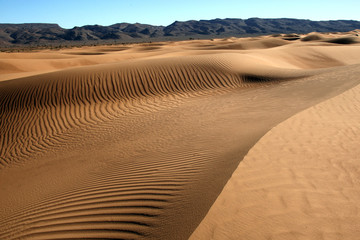 Sahara - Sanddünen