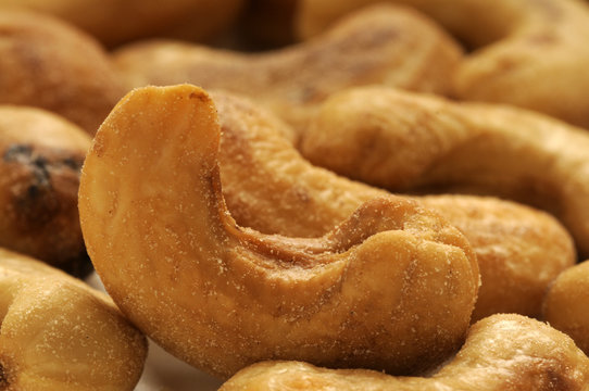 Anacardi