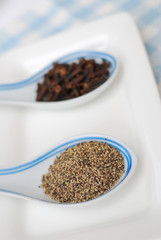 Spices and seasoning as food ingredients