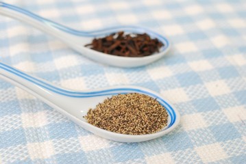 Spices and seasoning as food ingredients