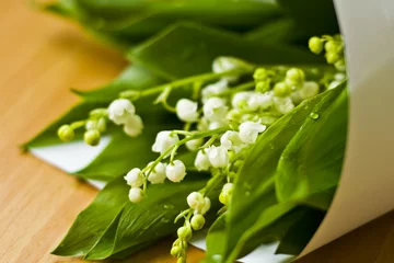 Foto auf Acrylglas Maiglöckchen Maiglöckchen  © itiriti