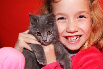 chaton chartreux dans les bras d'un enfant