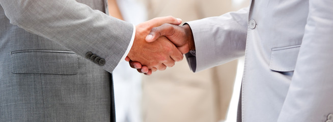 Close-up of a business agreement by shaking hand