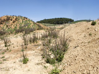 drought land in the fields of catalonia