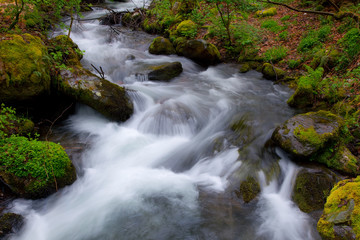 Fototapeta premium Rio Oza, León, Castilla y León, Spain