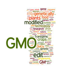 GMO Transgenic Food with copy space