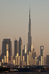 Dubai Skyline