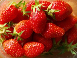 Fraises en barquette