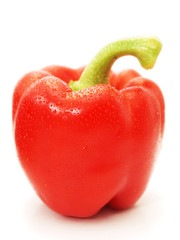 Red pepper towards white background