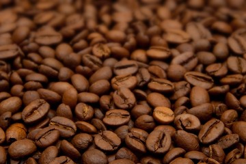 Coffee beans with shallow depth of field