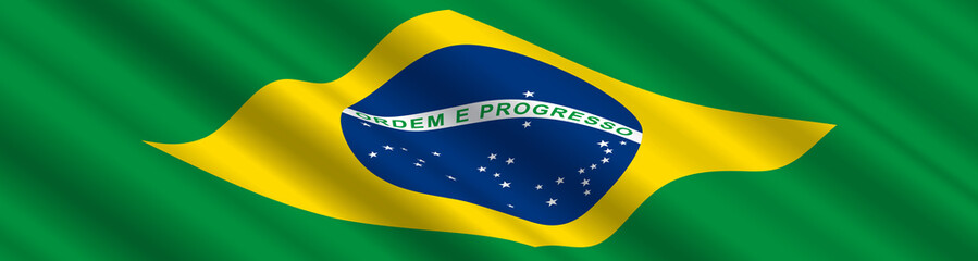 Brazilian Flag in the Wind