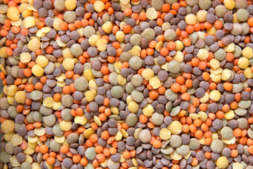 Lentils of the world