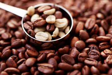 spoon of coffee beans