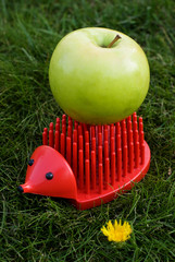 red plastic penholder hedgehog bears a natural apple