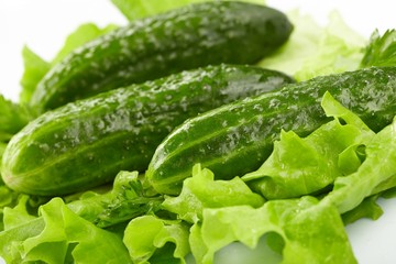cucumbers and lettuce on the white background