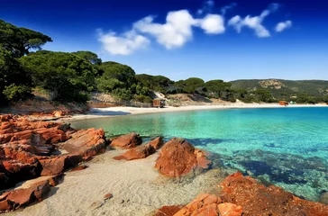 Cercles muraux Plage de Palombaggia, Corse plage