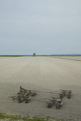 les polders du Miont Saint Michel