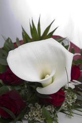 Callas und Rosen