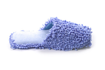 blue slipper
