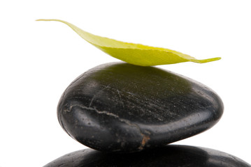 Tree leaflet lies on dark stone