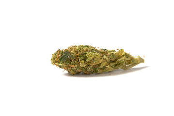 medical marijuana bud