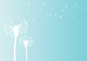 Vector illustration of blowing dandelion silhouette