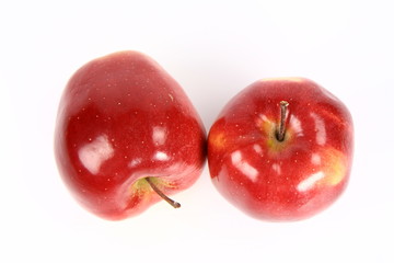 Two red and apples on white background