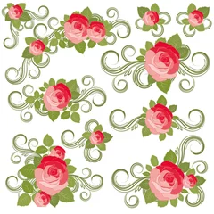 Fototapete Blumen Roses collection, vector illustration.