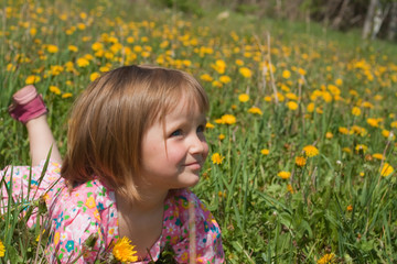 Little girl lie among yellow dandelions