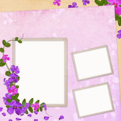 Summer background with frame and flowers
