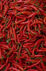 red chillis background