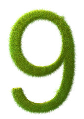 9 - grass number