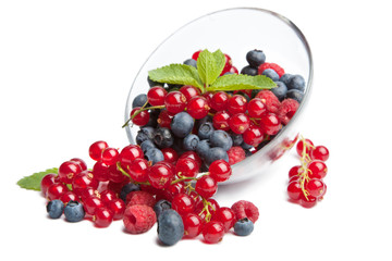 fresh berries isolated