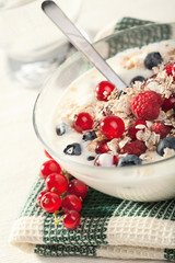 yogurt with cereal and wild berries