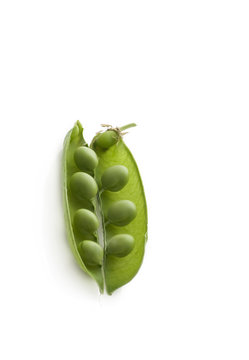 bacello con piselli