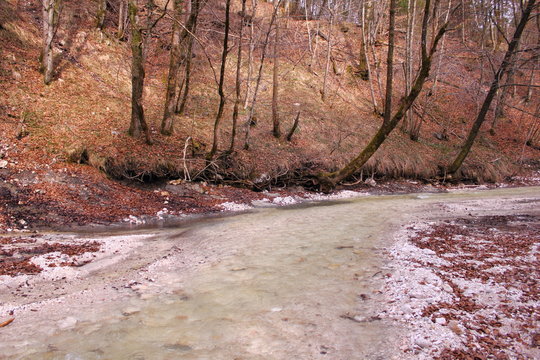 Laubfluss