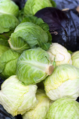 Fototapeta premium Fresh Cabbage