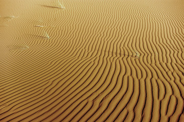 Sand lines