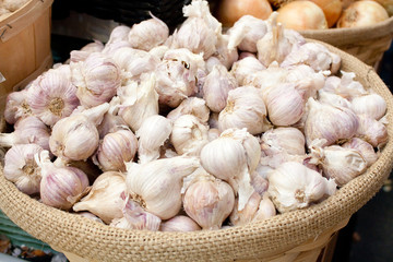 Garlic