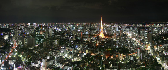Tokyo Megacity at night