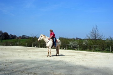 Naklejka premium Auf dem Reitplatz 2