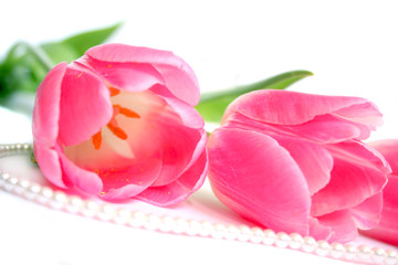 Fototapeta na wymiar Pink tulips and pearl necklace